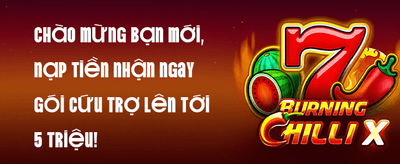 Hoàn Trả VIP Hàng Tuần 5% promotion